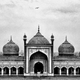 © William Dalrymple, Jama Masjid, Old Delhi.